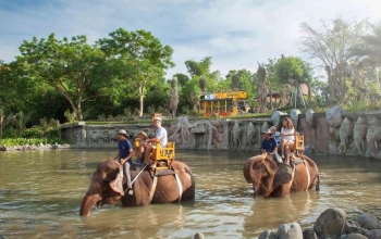 Elephant Ride Bali Zoo