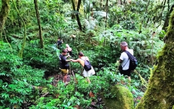Jungle Trekking Bali