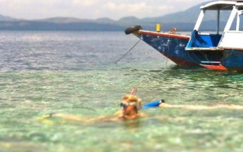 Menjangan Island Snorkeling