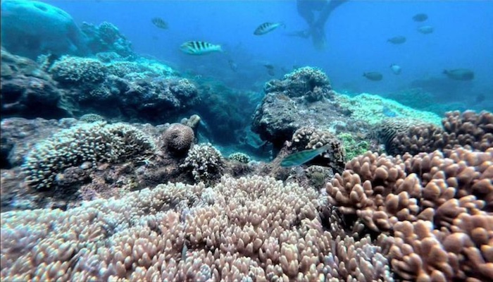 Bali Snorkeling Tours
